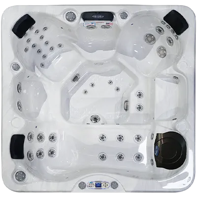 Avalon EC-849L hot tubs for sale in Idaho Falls